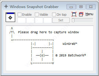 Windows Snapshot Grabber破解版