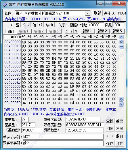 勇芳内存数据分析编辑器