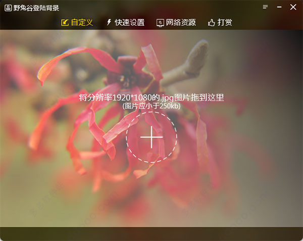 野兔谷登录背景(windows美化软件)