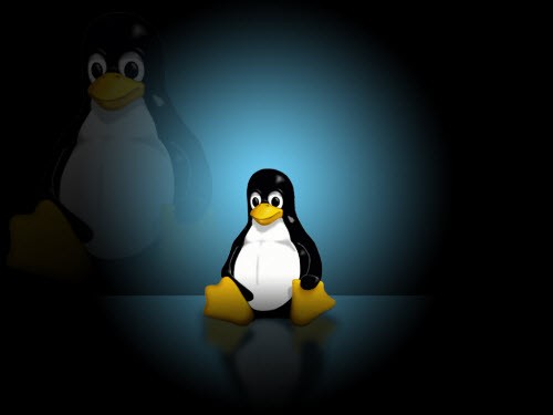 Linux Kernel