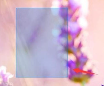 202209130453062485860020