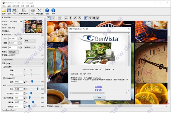 photozoom pro 8破解文件