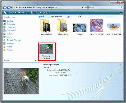 psdcodec
