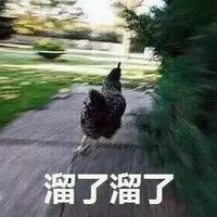 202209140326256883600007