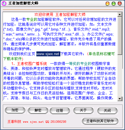 王者加密解密大师