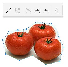 202209140345555236840002