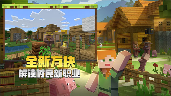我的世界国际版pc端