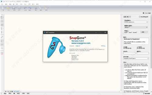 snapgene 5.0.5中文破解版