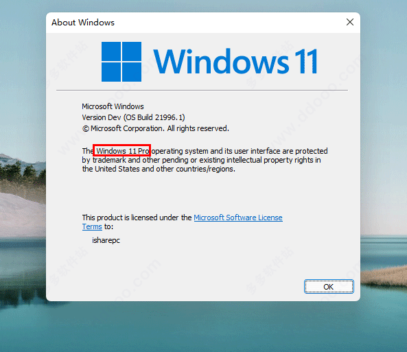 win11系统专业版