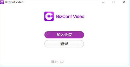 BizConf Video