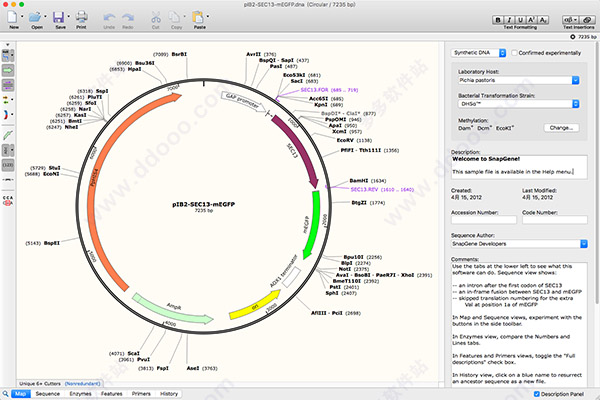 snapgene for mac破解版