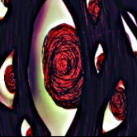 202209140541035196060019