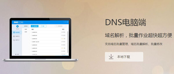 DNS域名解析软件
