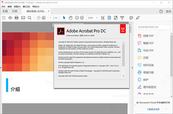 acrobat pro dc 2020破解版