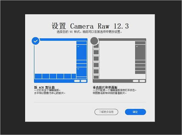 camera raw 12.3