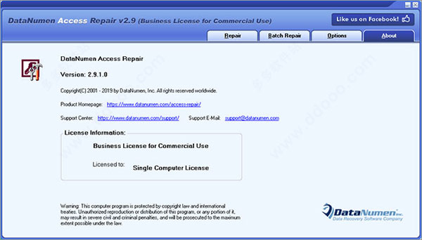 DataNumen Access Repair破解版
