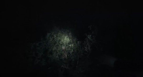 202209170610204647760047