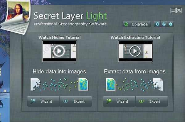 Secret Layer破解版