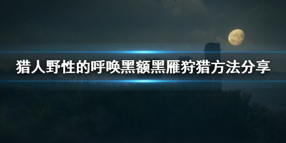 202209171613232916080010