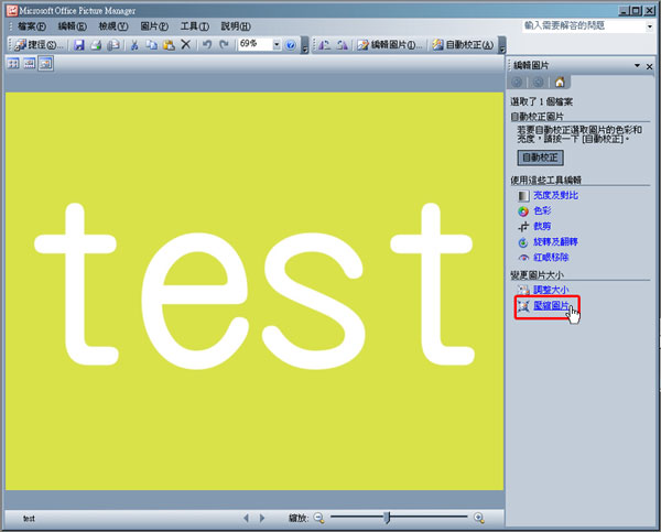 picture manager 2010