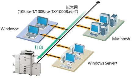 202209171712283801700003