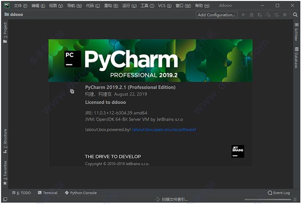 pycharm2019.2.1中文补丁包