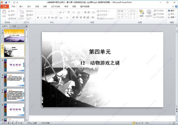 动物游戏之谜ppt课件