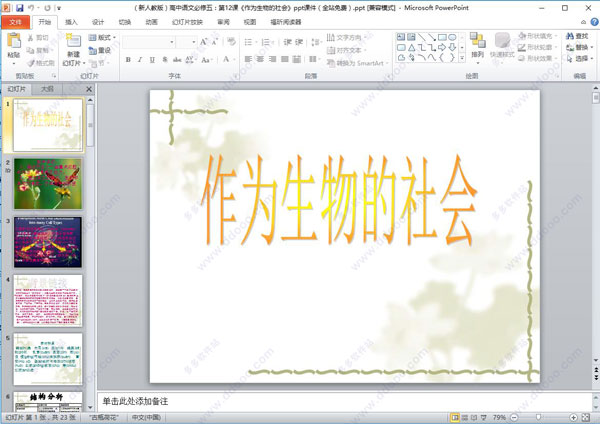 作为生物的社会ppt课件