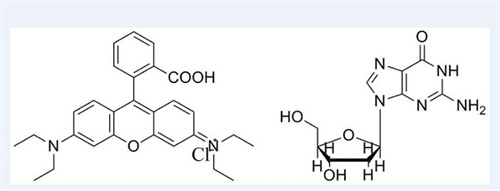 chemdraw汉化版